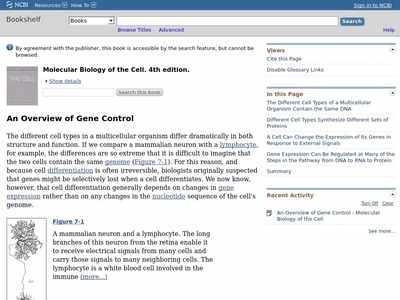 An Overview Of Gene Control Molecular Biology Of The Cell Ncbi